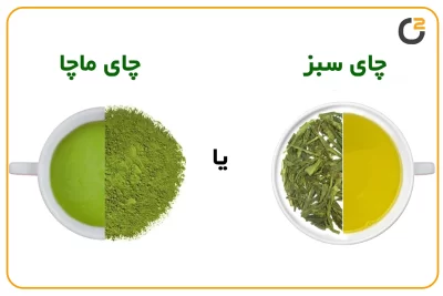 تفاوت ماچا با چای سبز: ترکیب و فرایند تولید